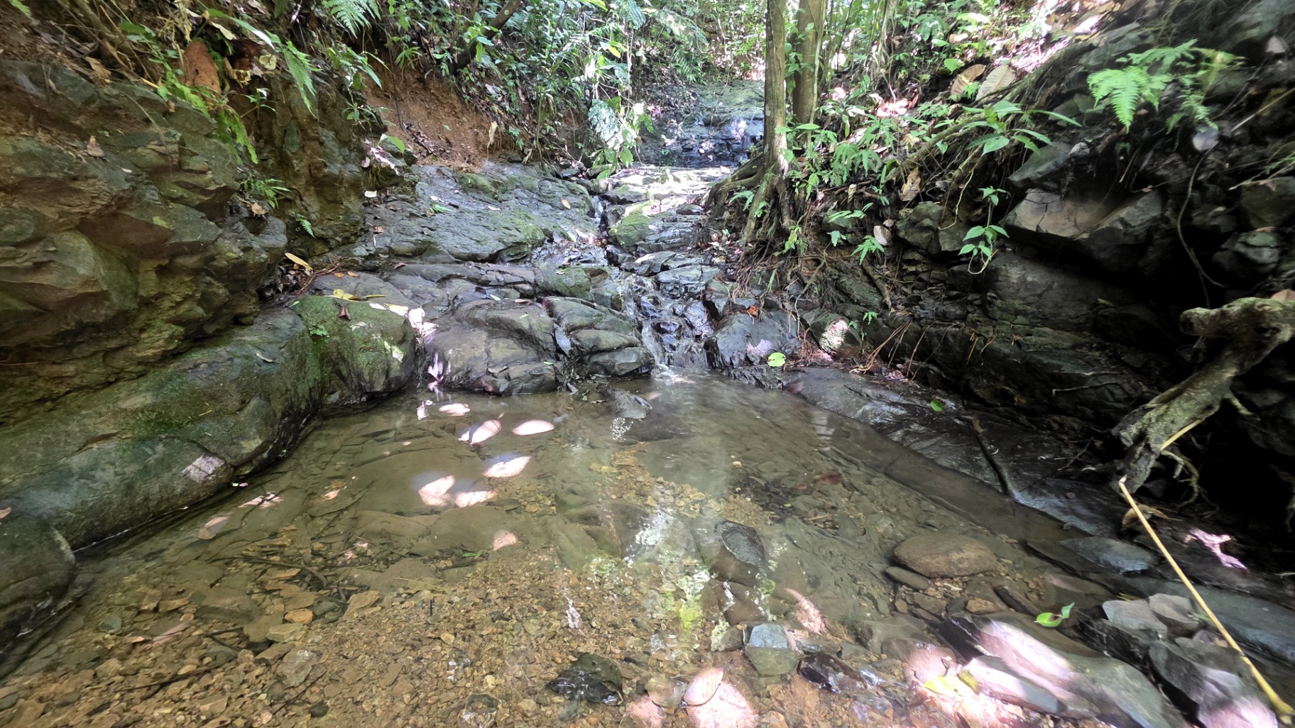 Pure Life Paradise: 128-Acre Eco-Farm with Private Waterfall & River 🌿💧