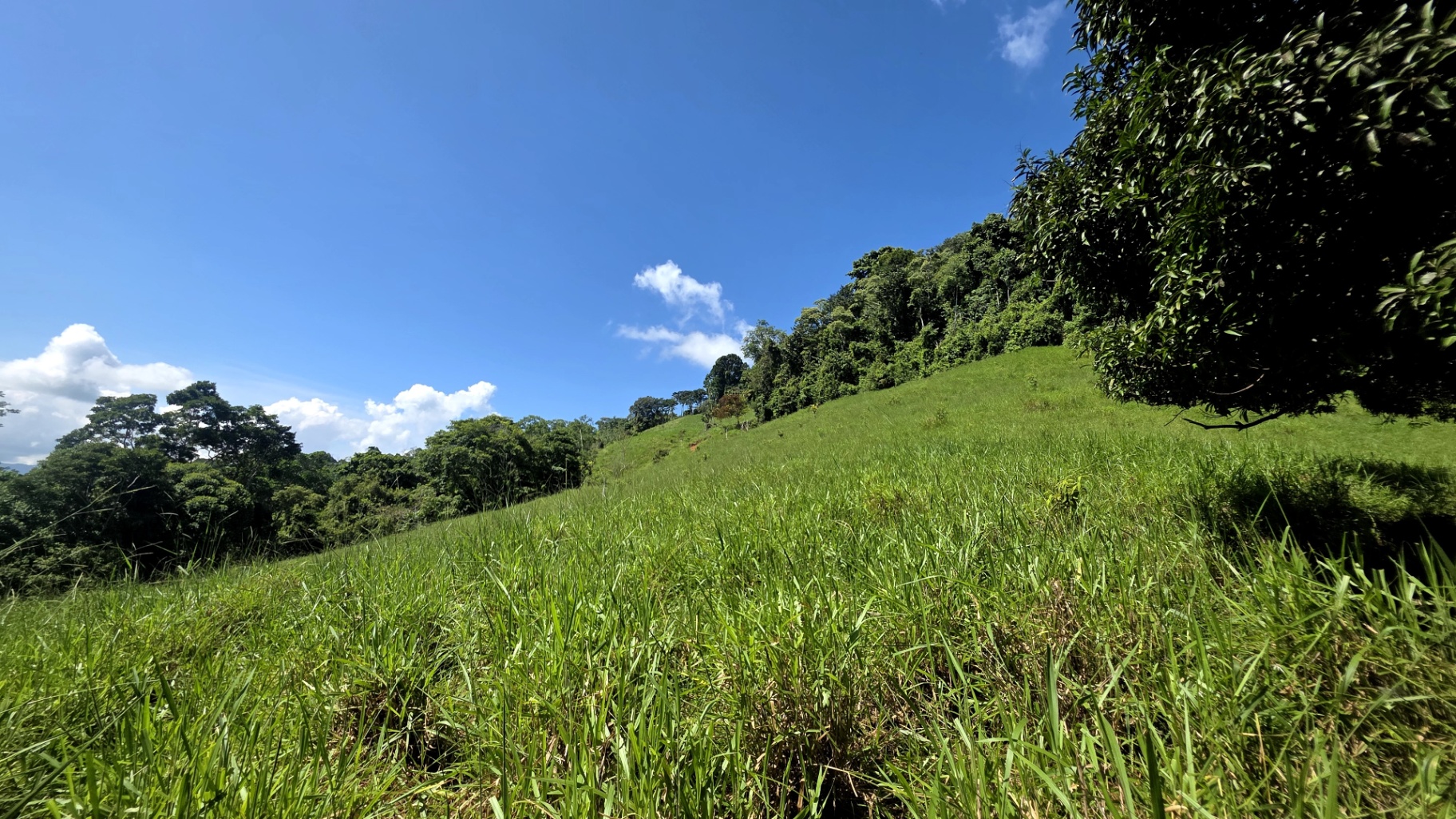 Pure Life Paradise: 128-Acre Eco-Farm with Private Waterfall & River 🌿💧