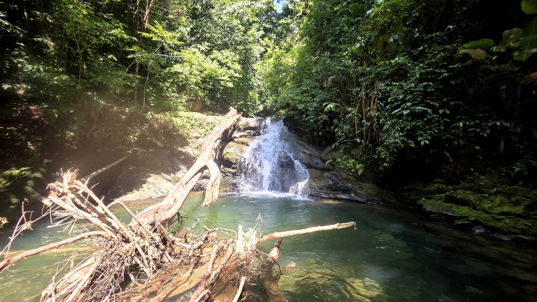 Pure Life Paradise: 128-Acre Eco-Farm with Private Waterfall & River 🌿💧
