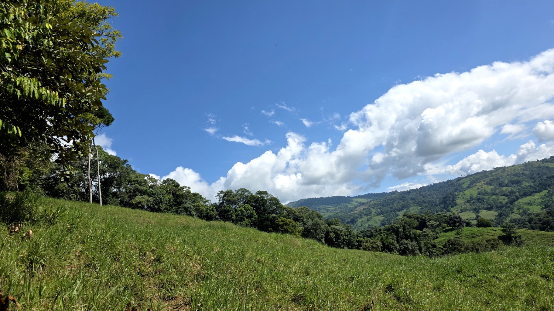 Pure Life Paradise: 128-Acre Eco-Farm with Private Waterfall & River 🌿💧