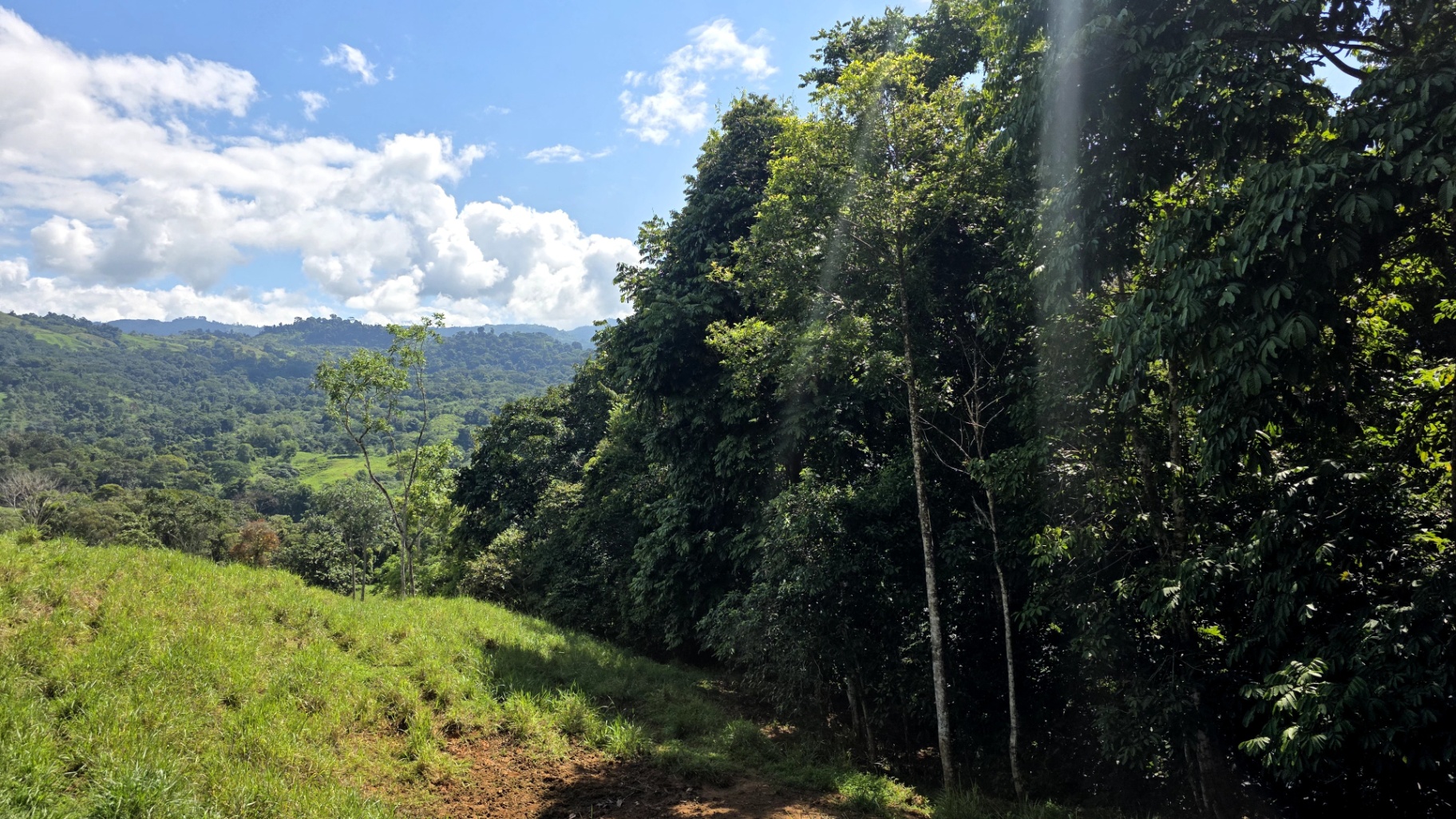 Pure Life Paradise: 128-Acre Eco-Farm with Private Waterfall & River 🌿💧
