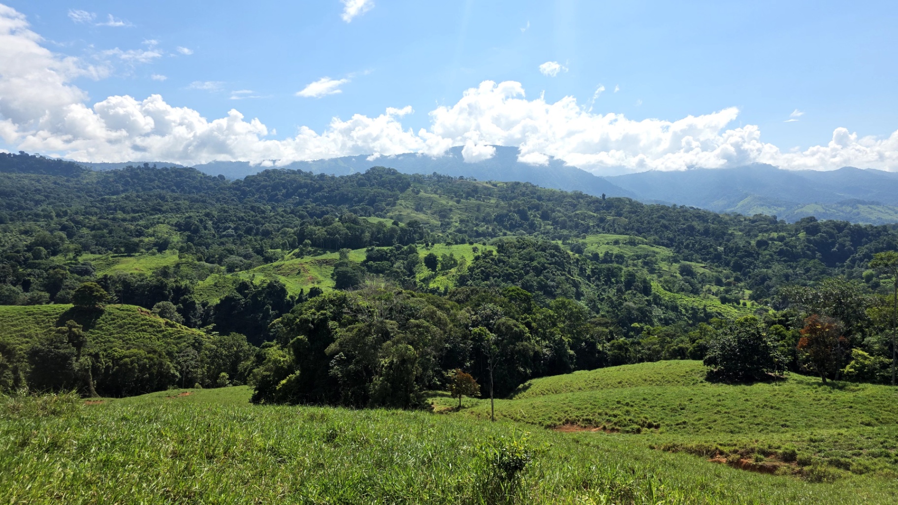 Pure Life Paradise: 128-Acre Eco-Farm with Private Waterfall & River 🌿💧