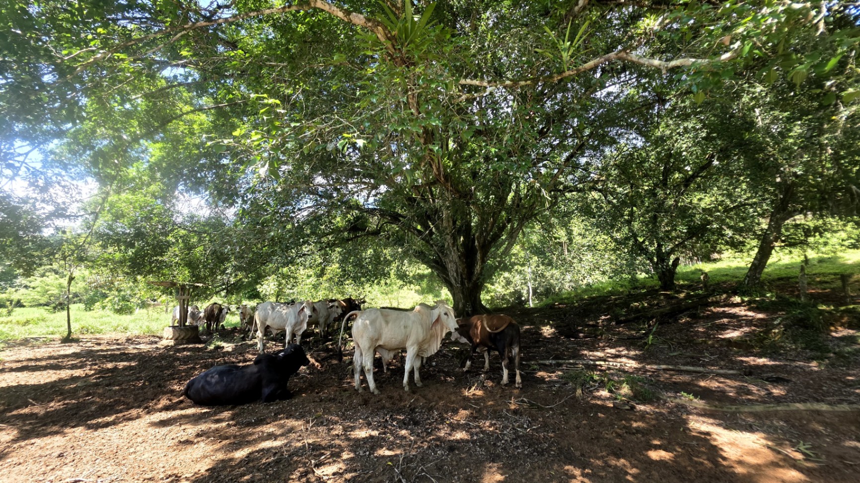 Pure Life Paradise: 128-Acre Eco-Farm with Private Waterfall & River 🌿💧