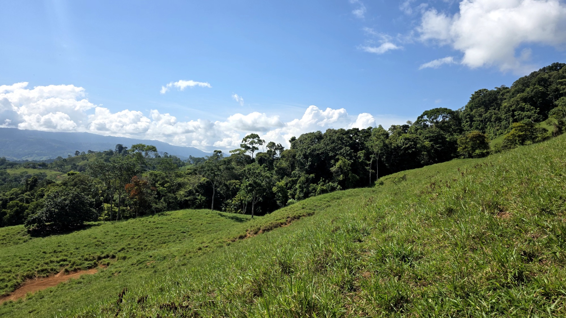 Pure Life Paradise: 128-Acre Eco-Farm with Private Waterfall & River 🌿💧