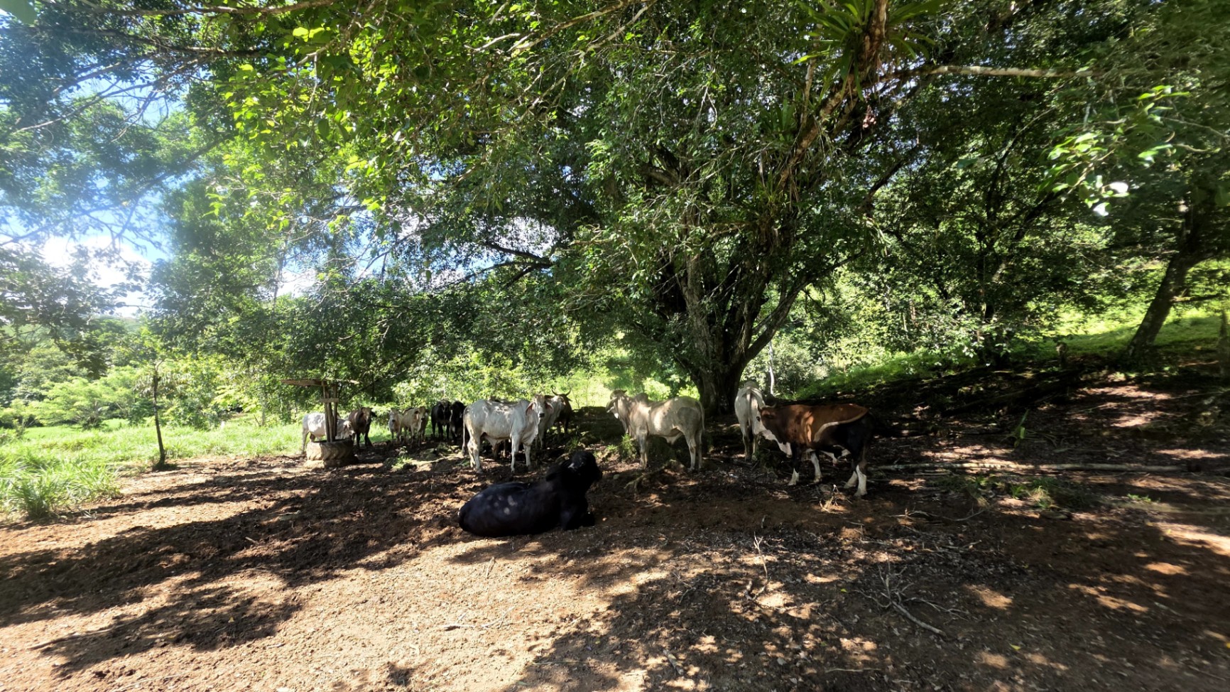 Pure Life Paradise: 128-Acre Eco-Farm with Private Waterfall & River 🌿💧