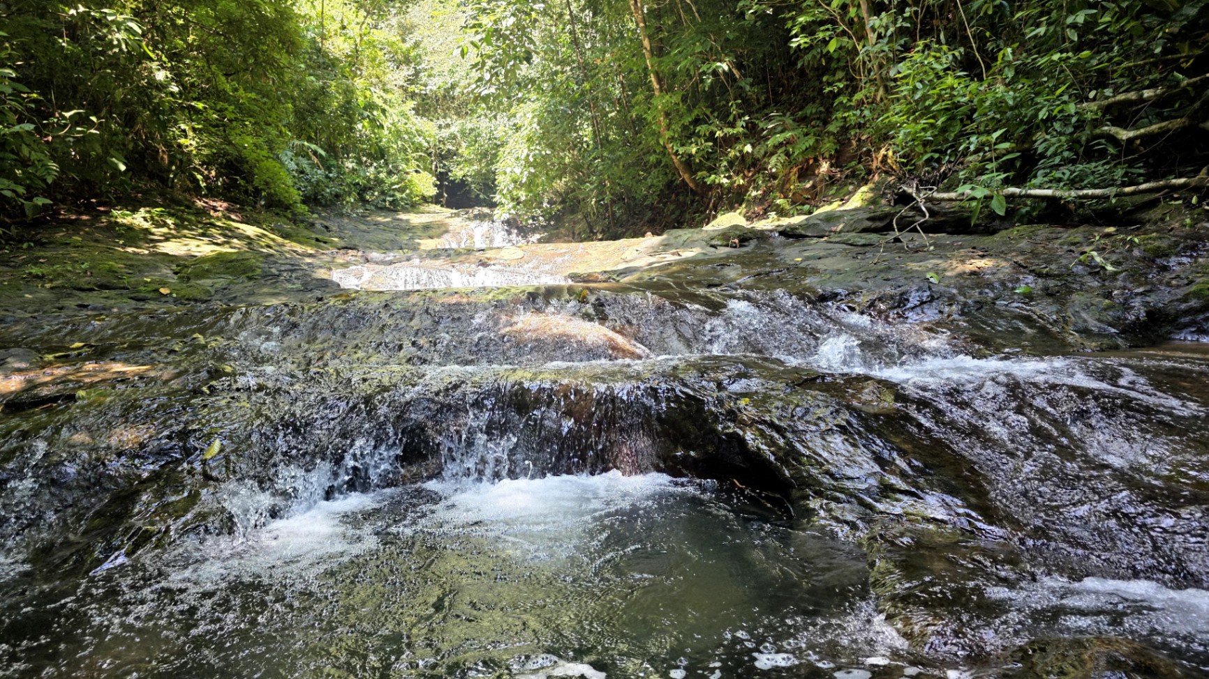 Pure Life Paradise: 128-Acre Eco-Farm with Private Waterfall & River 🌿💧