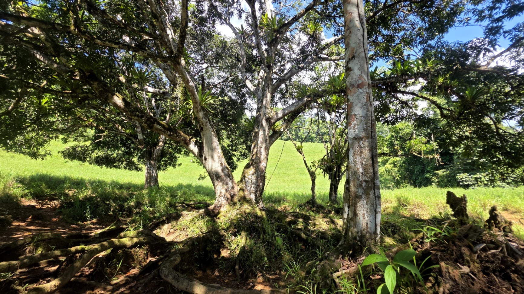 Pure Life Paradise: 128-Acre Eco-Farm with Private Waterfall & River 🌿💧