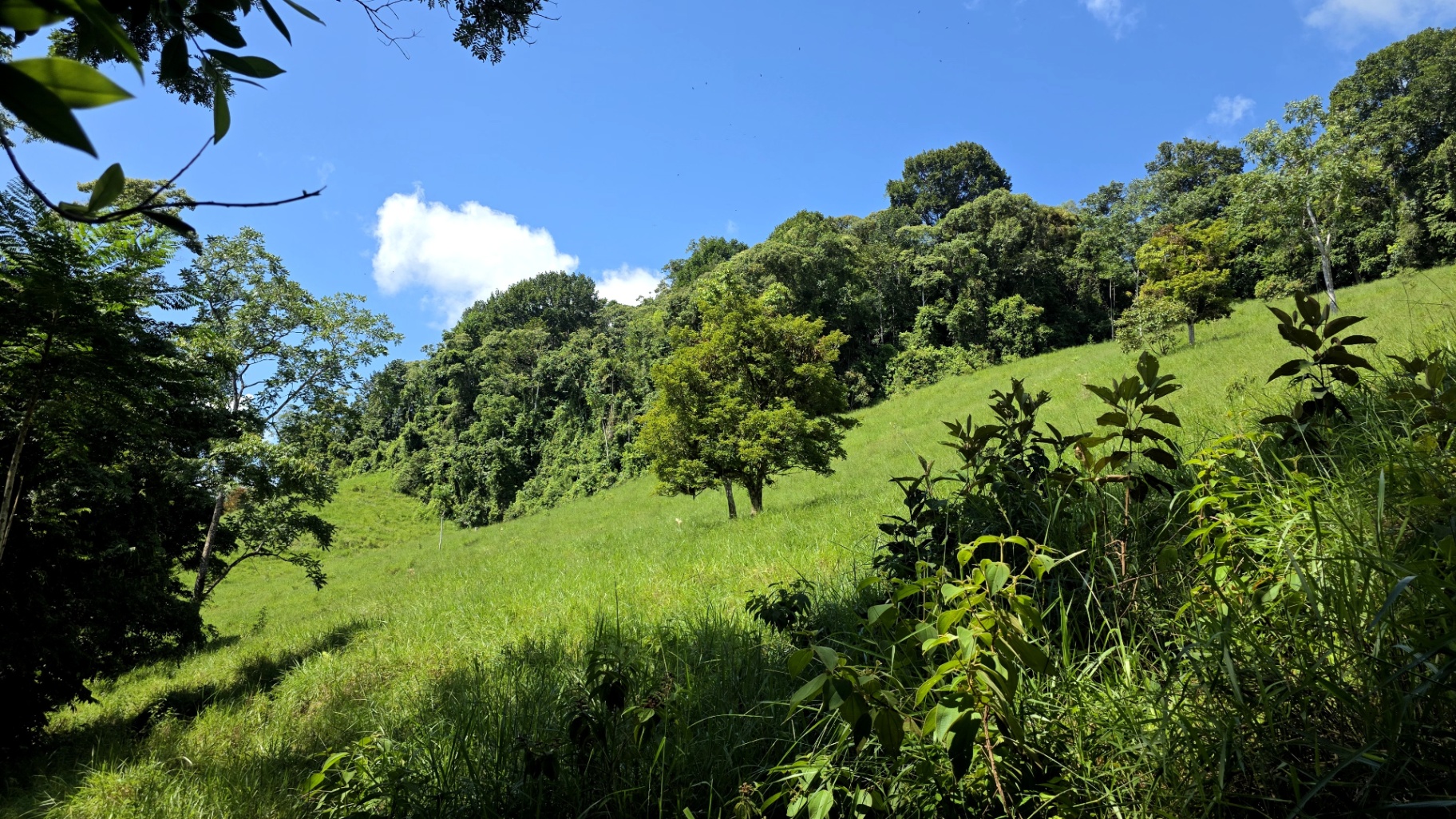 Pure Life Paradise: 128-Acre Eco-Farm with Private Waterfall & River 🌿💧