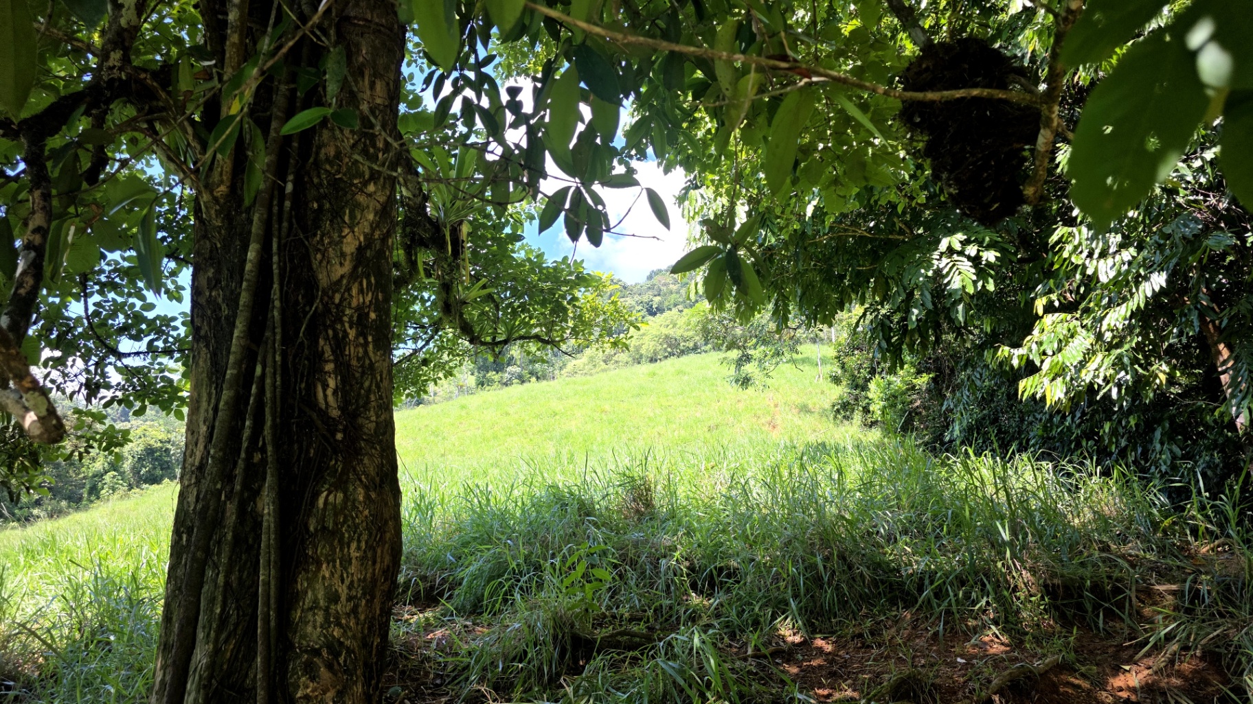 Pure Life Paradise: 128-Acre Eco-Farm with Private Waterfall & River 🌿💧