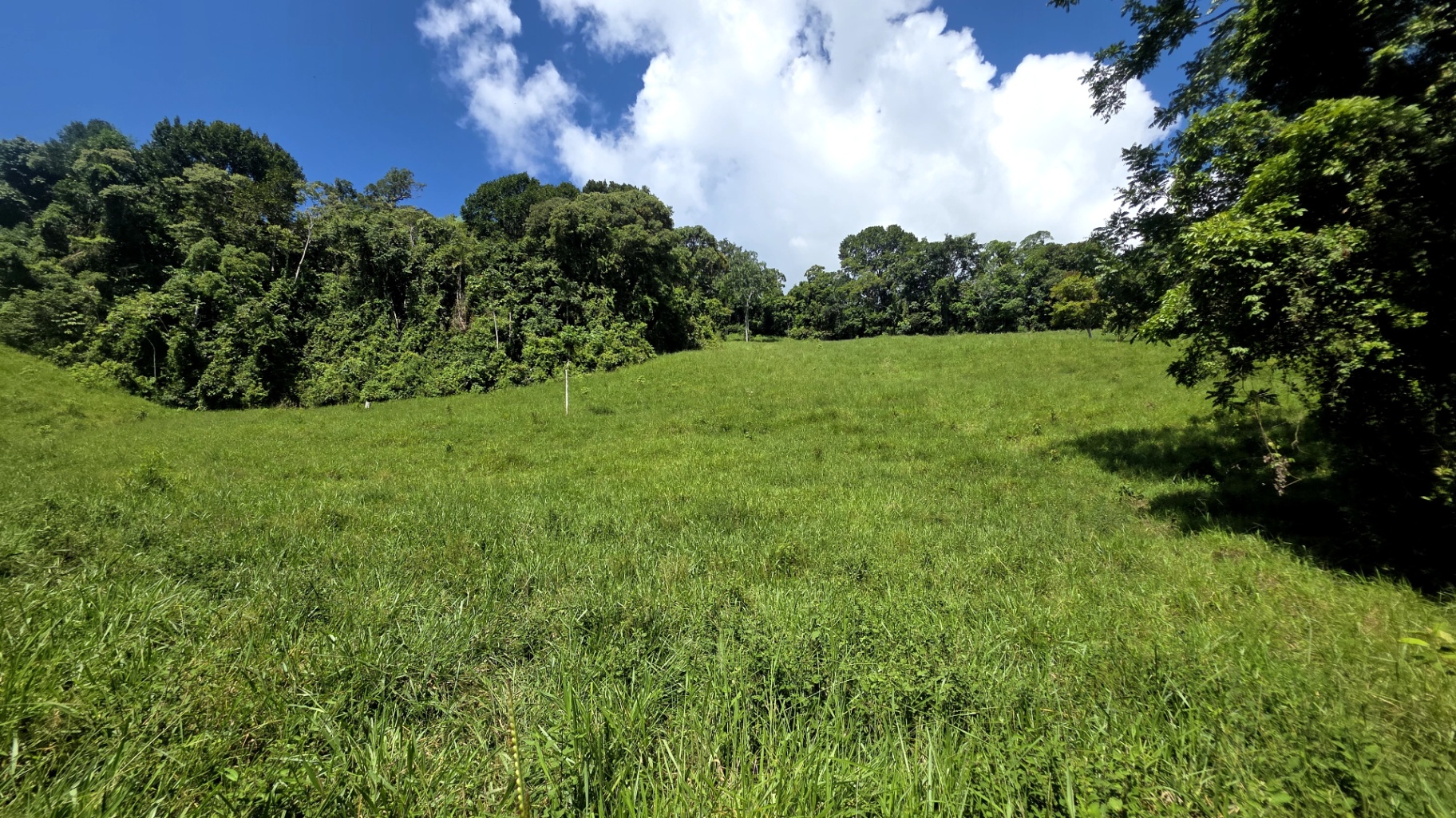 Pure Life Paradise: 128-Acre Eco-Farm with Private Waterfall & River 🌿💧