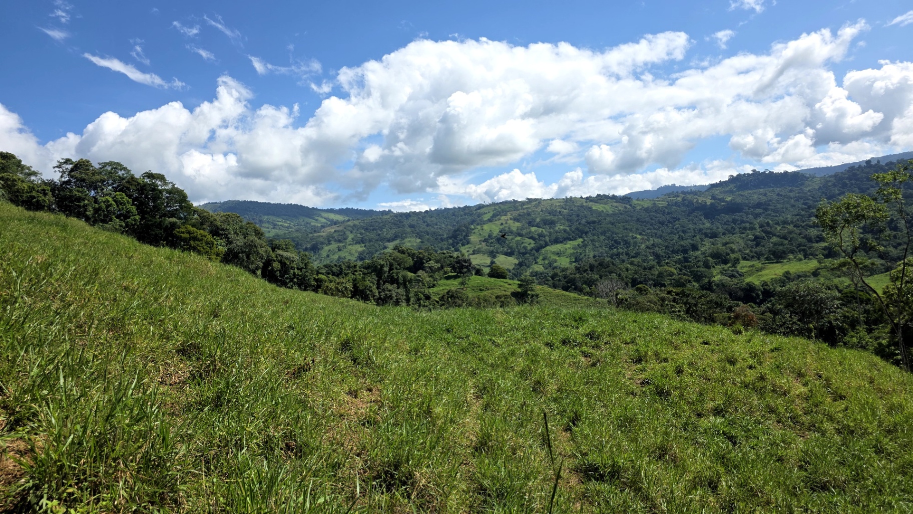Pure Life Paradise: 128-Acre Eco-Farm with Private Waterfall & River 🌿💧