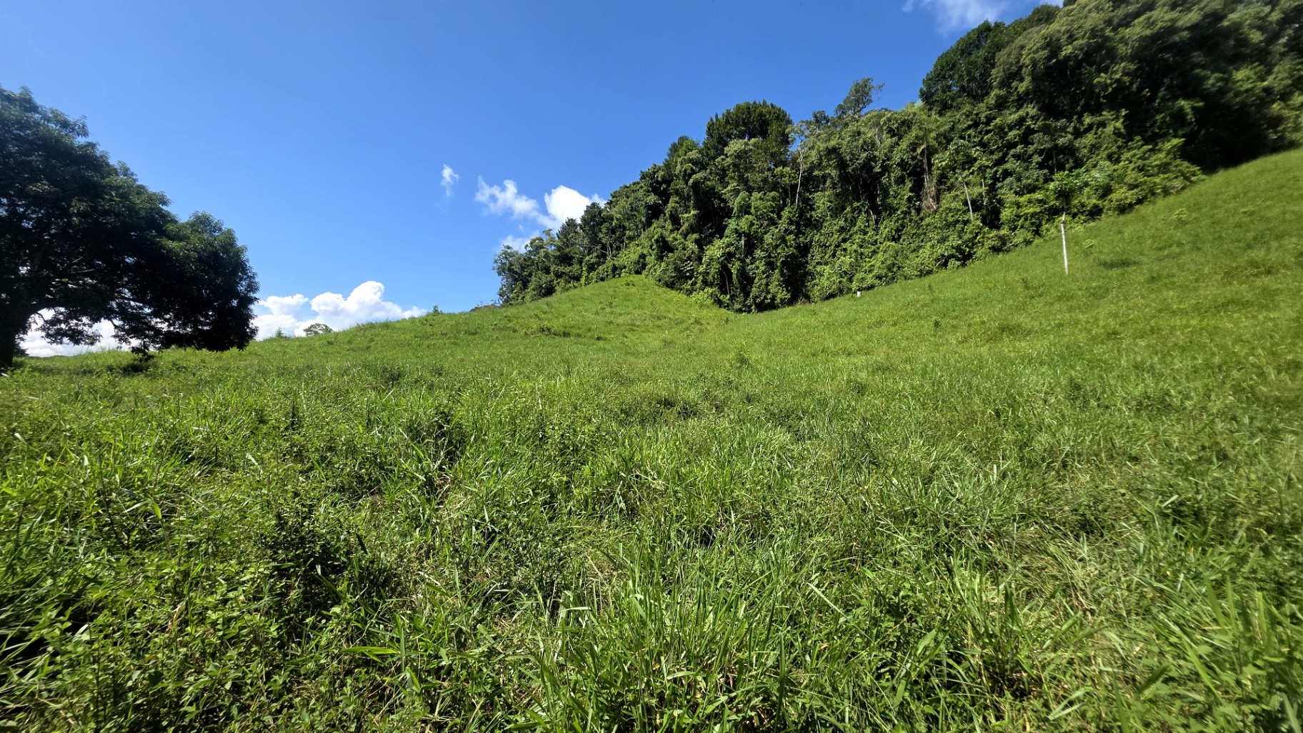 Pure Life Paradise: 128-Acre Eco-Farm with Private Waterfall & River 🌿💧