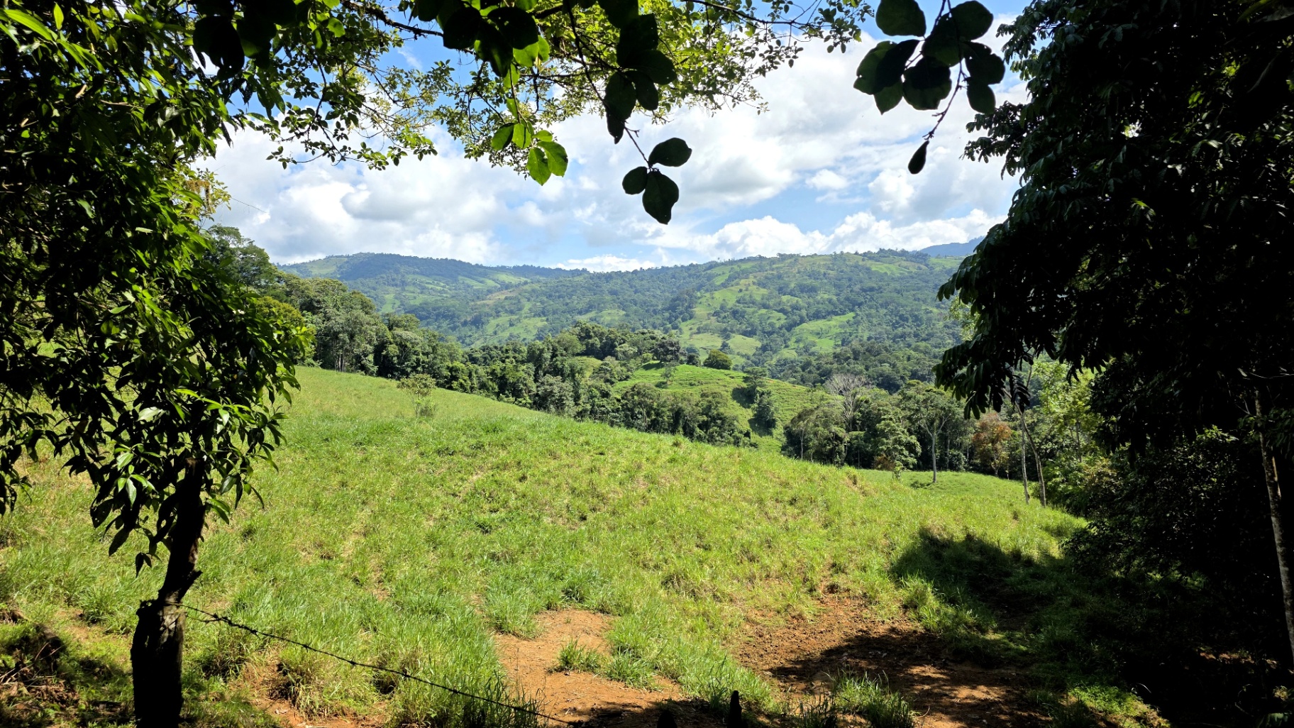 Pure Life Paradise: 128-Acre Eco-Farm with Private Waterfall & River 🌿💧