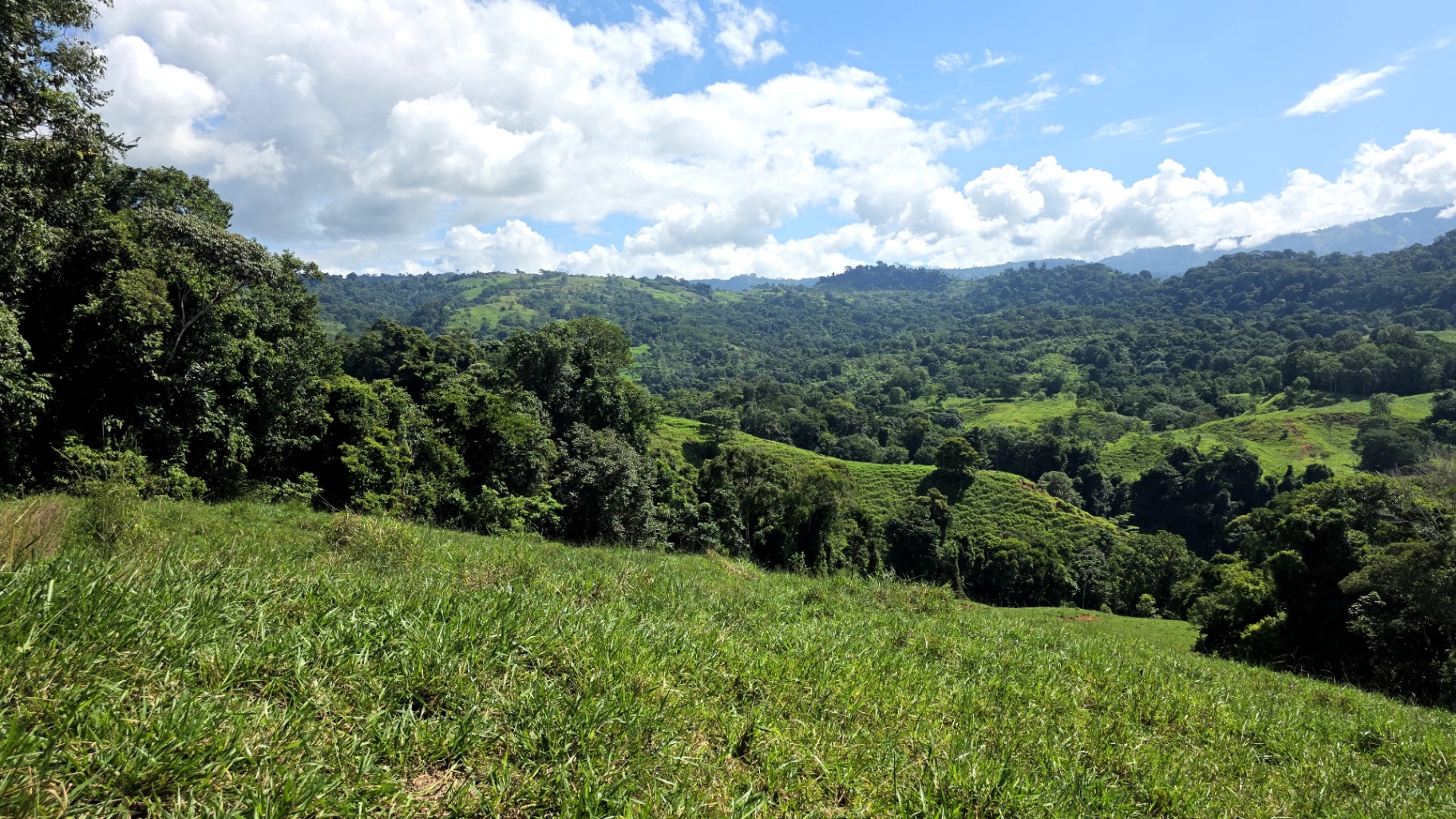 Pure Life Paradise: 128-Acre Eco-Farm with Private Waterfall & River 🌿💧
