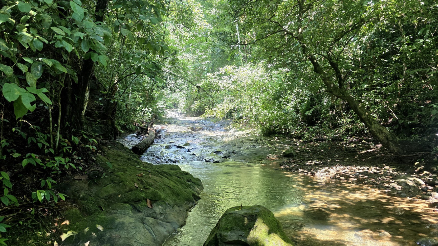 Pure Life Paradise: 128-Acre Eco-Farm with Private Waterfall & River 🌿💧