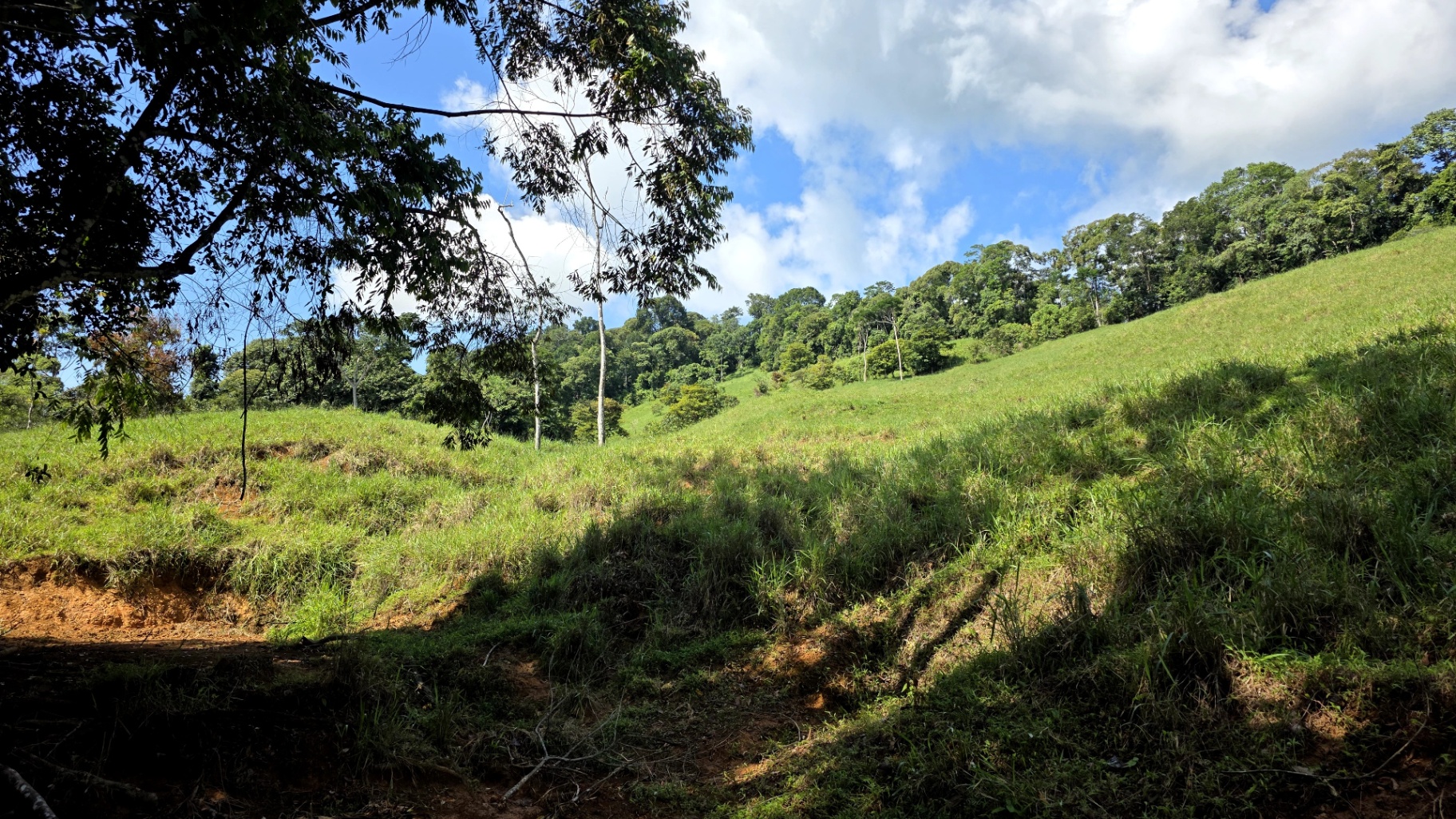 Pure Life Paradise: 128-Acre Eco-Farm with Private Waterfall & River 🌿💧