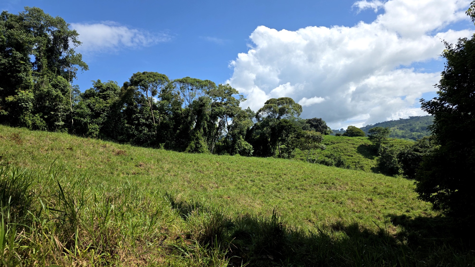 Pure Life Paradise: 128-Acre Eco-Farm with Private Waterfall & River 🌿💧