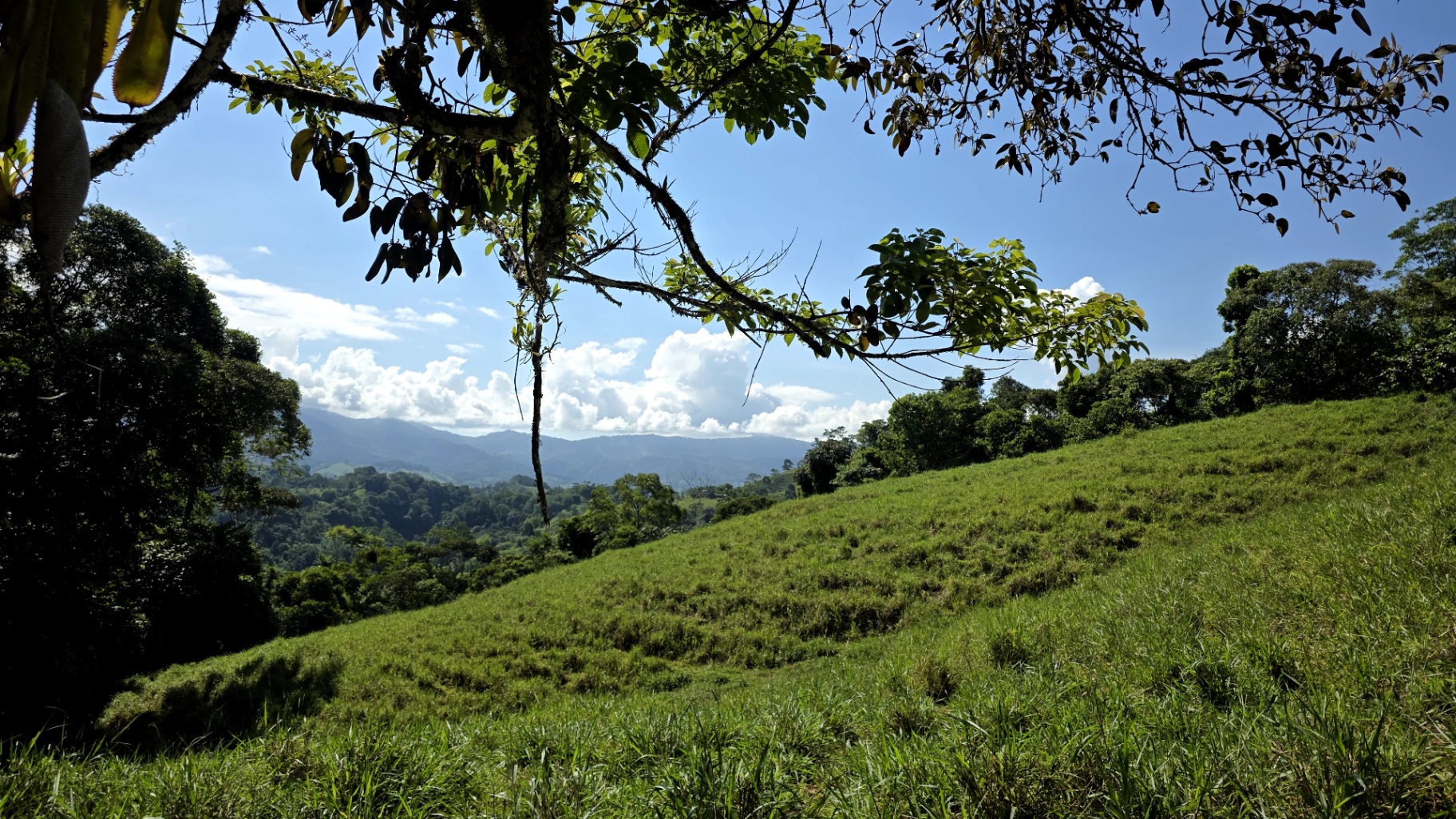 Pure Life Paradise: 128-Acre Eco-Farm with Private Waterfall & River 🌿💧
