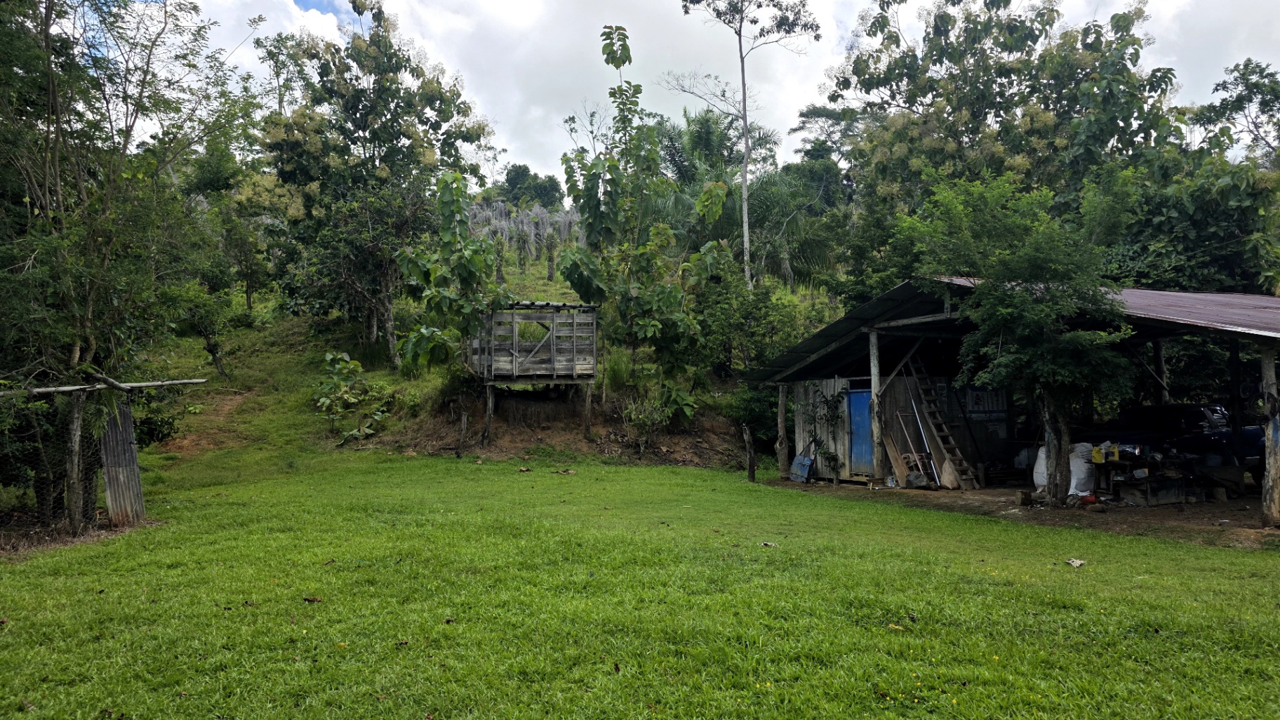 Paradise Found: Pristine Acreage Between Mountains & Ocean 🌊