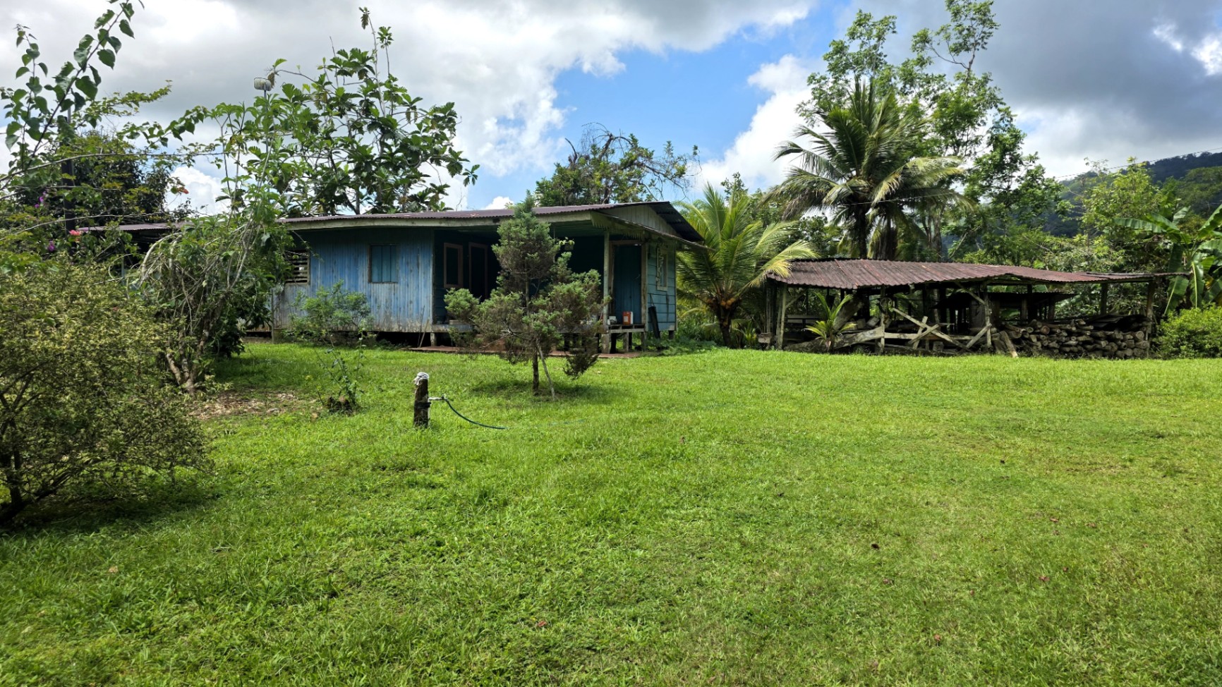 Paradise Found: Pristine Acreage Between Mountains & Ocean 🌊